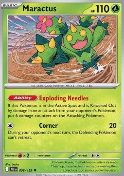 Maractus
