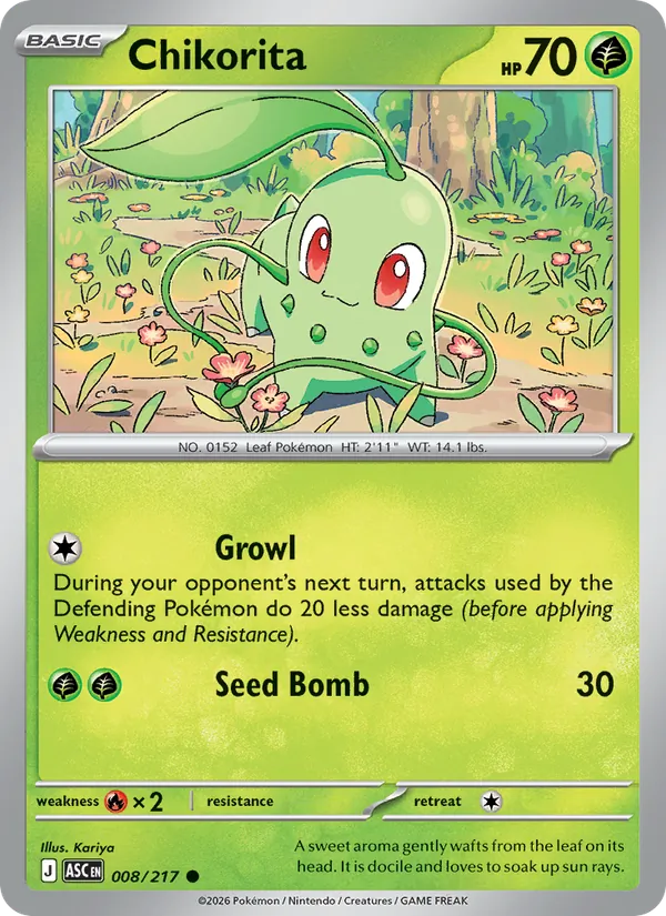 Chikorita - Ascended Heroes #008 [EN]